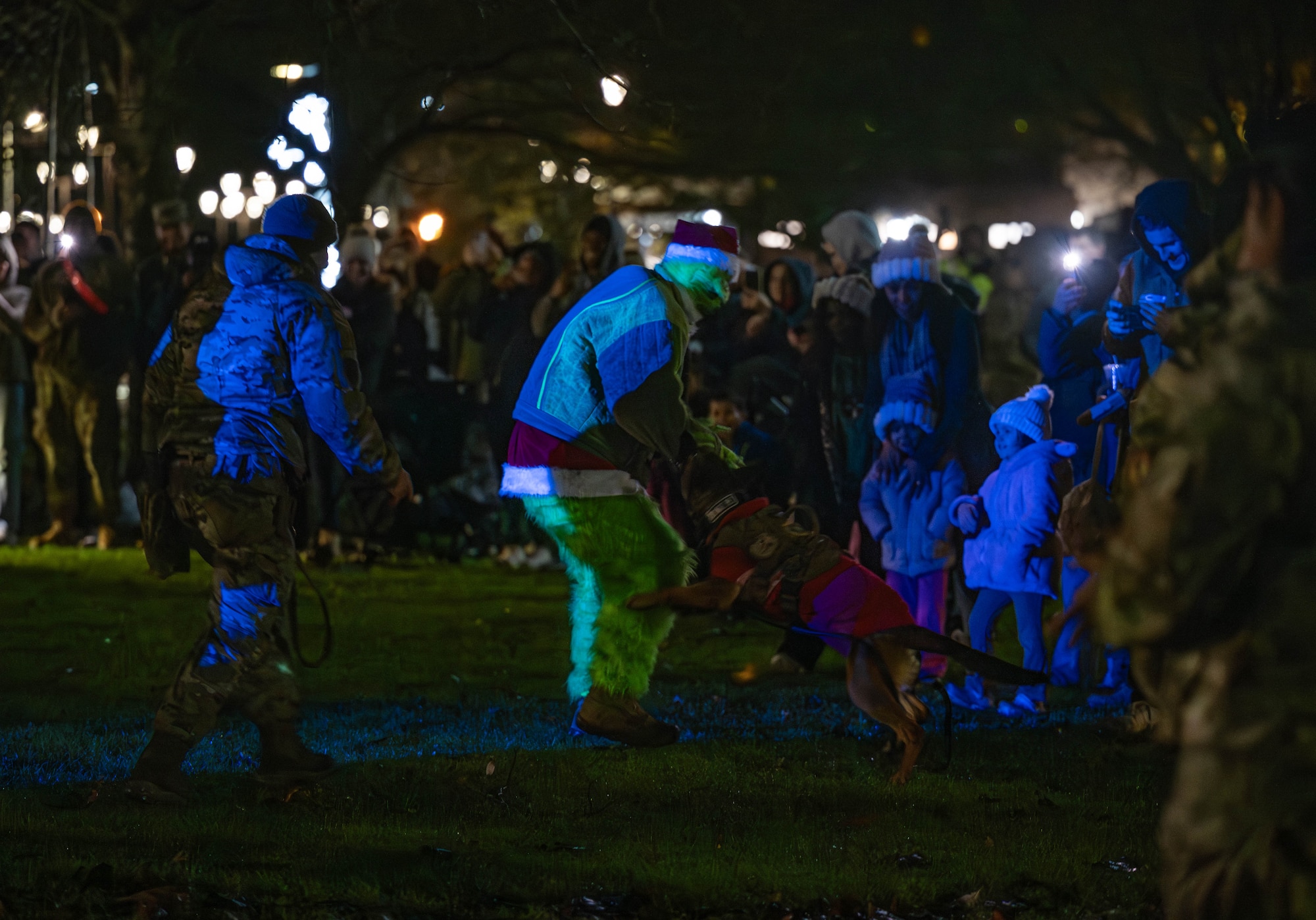 A military working dog lunges at a man dressed in a grinch costume with a bite suit over it. there is blue light shining on them and a security forces Air Force member running next to them with a leash.