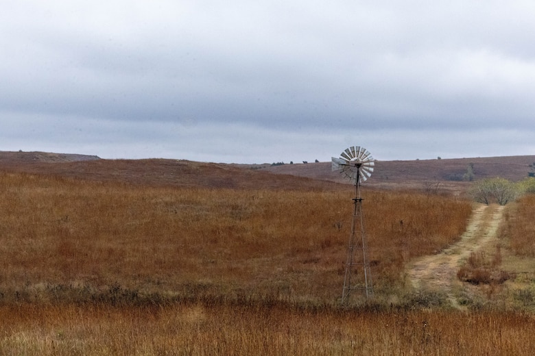 Brown grass with a windmill on the right-hand side with grey sky in the background.