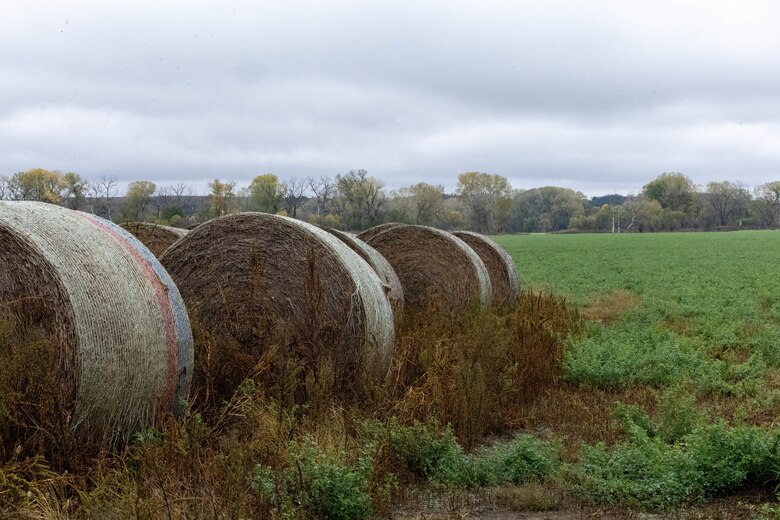 Brown hay bales sit among green vegetation with trees and grey sky in the background.