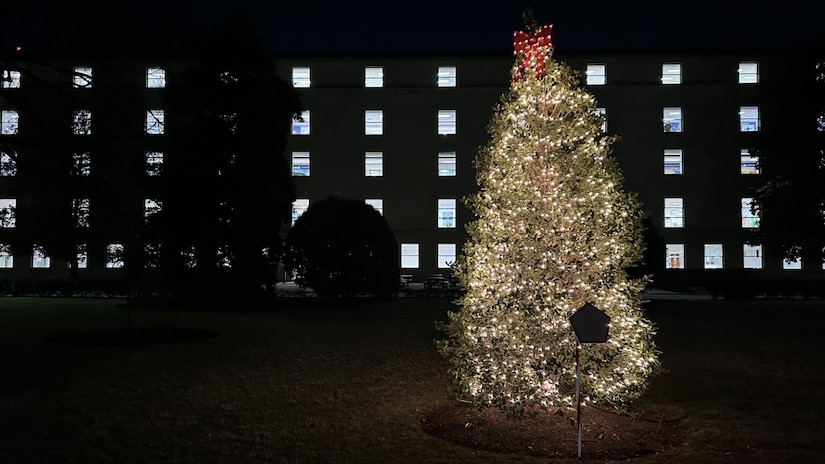 An illuminated Christman tree is shown at night with lit windows of an office building appearing in the background.