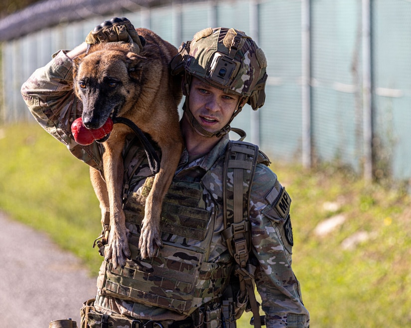 A soldier walks with a dog on his shoulder. The dog has a red squishy ball in its mouth.