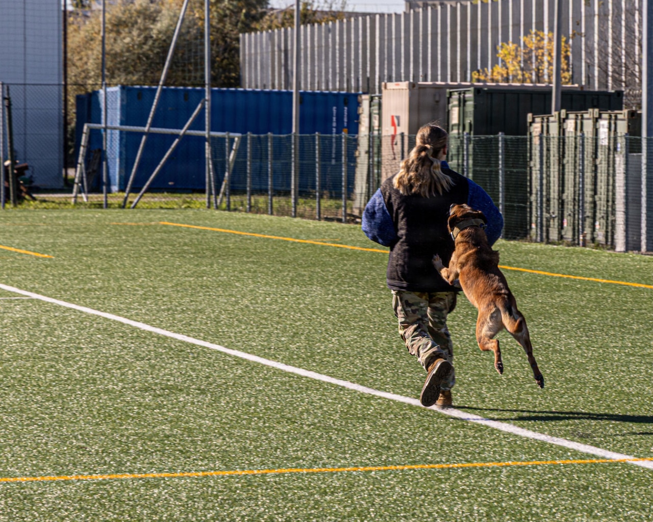 A dog runs toward the back of a woman wearing a padded suit.