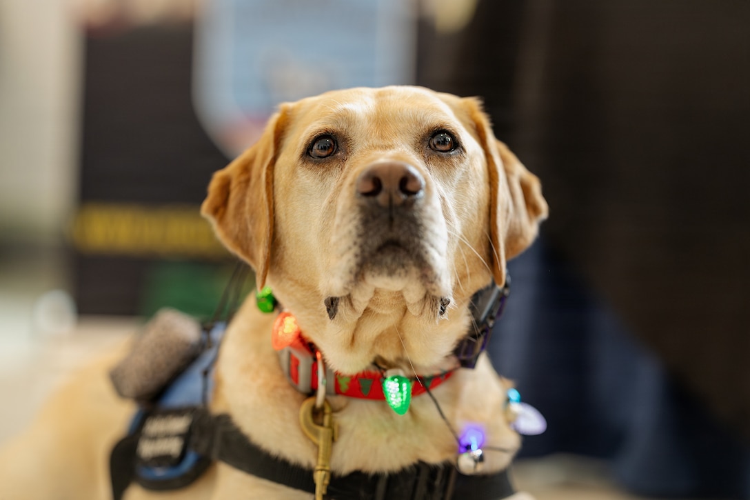 Secretary of War visits Toys for Tots Charity Event at the Pentagon