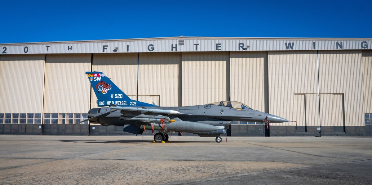 The Wild Weasels at 60: the origins and the history of 20th