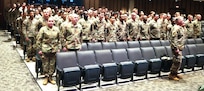 Illinois Army National Guard 725th Transportation Company Soldiers.
