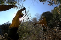 U.S. Army Sgt. Bryce Carter, center, an infantryman with C Company, 1st Battalion, 160th Infantry Regiment, California Army National Guard, clears excess brush and other debris as part of remediation efforts along the Mulholland Trail near Tarzana, California, in the aftermath of the Palisades Fire, Jan. 18, 2025.