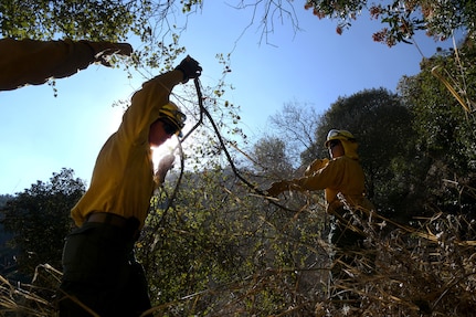 U.S. Army Sgt. Bryce Carter, center, an infantryman with C Company, 1st Battalion, 160th Infantry Regiment, California Army National Guard, clears excess brush and other debris as part of remediation efforts along the Mulholland Trail near Tarzana, California, in the aftermath of the Palisades Fire, Jan. 18, 2025.