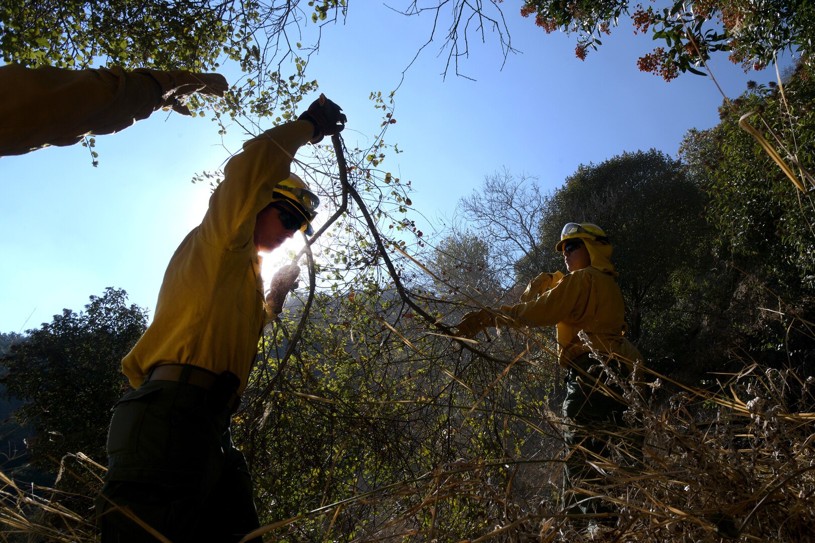 U.S. Army Sgt. Bryce Carter, center, an infantryman with C Company, 1st Battalion, 160th Infantry Regiment, California Army National Guard, clears excess brush and other debris as part of remediation efforts along the Mulholland Trail near Tarzana, California, in the aftermath of the Palisades Fire, Jan. 18, 2025.