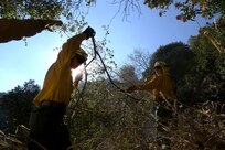 U.S. Army Sgt. Bryce Carter, center, an infantryman with C Company, 1st Battalion, 160th Infantry Regiment, California Army National Guard, clears excess brush and other debris as part of remediation efforts along the Mulholland Trail near Tarzana, California, in the aftermath of the Palisades Fire, Jan. 18, 2025.