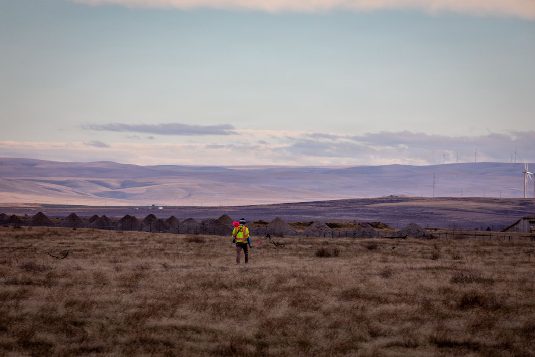 Military Munitions Response Program field assistant Rogan Maxwell conducts fieldwork at the former Umatilla Chemical Depot in Hermiston, Oregon, Nov. 18, 2025. The team conducted visual inspections of the buffer area while looking for signs of munitions. The area must pass inspection and be declared safe before it can be handed over to the Oregon National Guard’s Rees Training Center for use as training grounds. (U.S. Army photo by Makenzie Leonard)