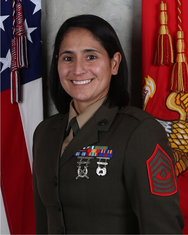 Unit Senior Enlisted Leader
Fox Battery, 2nd Battalion, 14th Marine Regiment