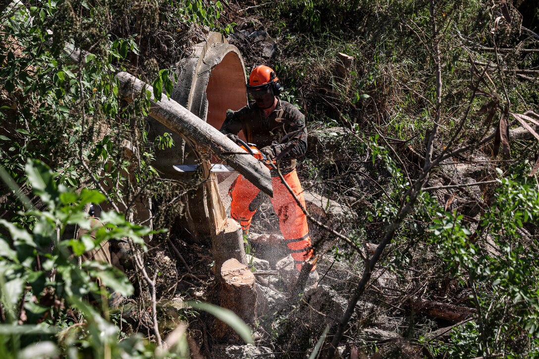 A U.S. Marine Corps combat engineer with the 22nd Marine Expeditionary Unit (Special Operations Capable), saws down a tree during airstrip improvement operations in Camp Santiago, Puerto Rico, Dec. 12, 2025. U.S. military forces are deployed to the Caribbean in support of the U.S. Southern Command mission, Department of War-directed operations, and the president’s priorities to disrupt illicit drug trafficking and protect the homeland. (U.S. Marine Corps photo)