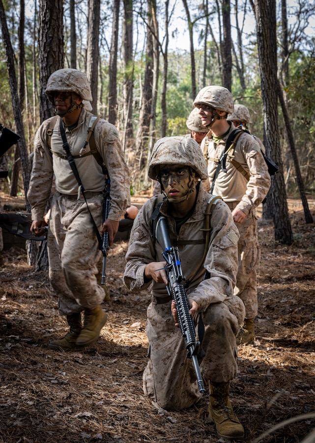 Recruits with India Company, 3rd Recruit Training Battalion, conduct the Crucible aboard Marine Corps Recruit Depot Parris Island, S.C., Jan. 30, 2025. The Crucible is the 54-Hour culminating event of recruit training, it is the final obstacle between recruits and the title United States Marine. (U.S. Marine Corps photo by Cpl. Dakota Dodd)