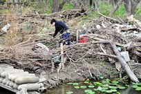 Basura Bash 2024
