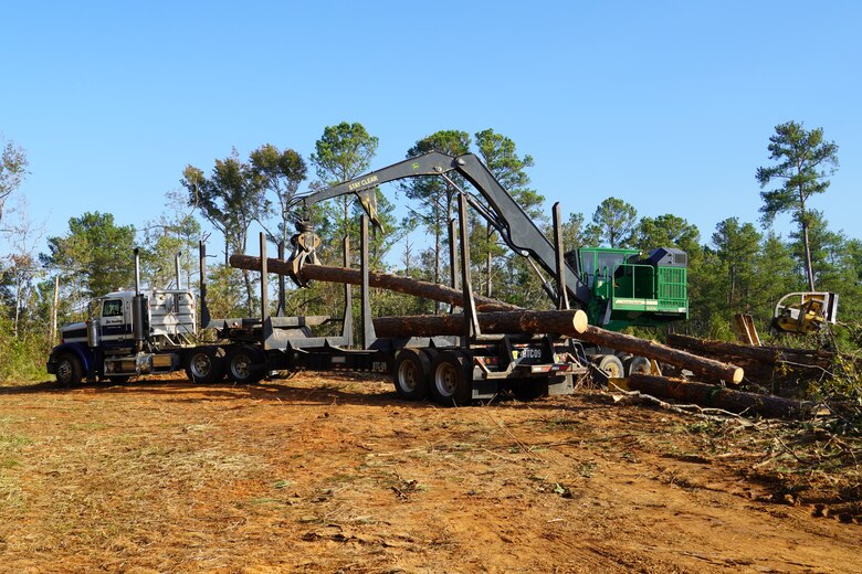 A log loader stacks fallen trees onto a truck for transport, at J. Strom Thurmond Lake Project, October 09, 2024. The Thurmond Project, managed by the U.S. Army Corps of Engineers, Savannah District, sustained severe damage to its forested areas as Hurricane Helene traveled across Georgia and South Carolina.
