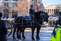 An Army Soldier is on a black horse that is next to another horse, and together they are pulling a caisson. down a street.