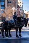 A soldier is sitting on a stationary black horse that a bridled with another horse on a street,