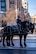 A soldier is sitting on a stationary black horse that a bridled with another horse on a street,