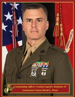 Lieutenant Colonel David L. Wood, Commanding Officer, CLB 23