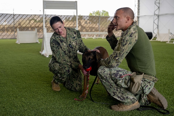 Chief of Navy Reserve Vice Adm. Nancy Lacore with a military working dog and handler during a visit to Camp Lemonnier, Djibouti.
