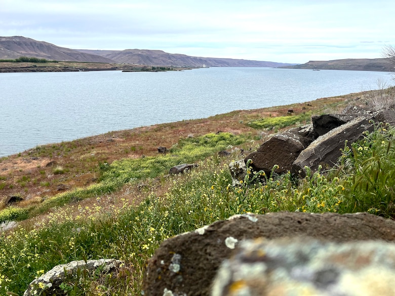 A scenic view of a large river from a high bank.