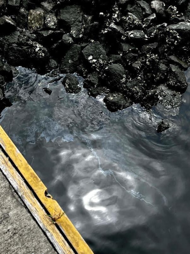 Light silver sheening and booming configuration visible at the Brunswick East River Mystery Sheen (BERMS) site during low tide in Brunswick, Georgia, August 15, 2024. A Unified Command, consisting of the U.S. Coast Guard, the U.S. Environmental Protection Agency and the Georgia Department of Natural Resources, was established in May 2024 to coordinate response actions and disseminate information for the BERMS response. (U.S. Coast Guard photo by Petty Officer 1st Class Michael Saturnino)