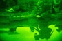 NSW Operators Conduct Nighttime Training