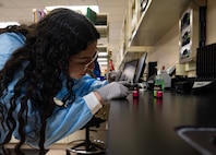 Luisa Rodriguez, 5th Medical Operations Squadron laboratory technician, prepares chemistry quality control material at Minot Air Force Base, North Dakota, Jan. 29, 2025. Chemistry quality control is the process of ensuring chemical products meet quality standards. (U.S. Air Force photo by Senior Airman Alyssa Bankston)