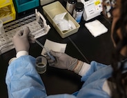 Luisa Rodriguez, 5th Medical Operations Squadron laboratory technician, prepares urine specimens at Minot Air Force Base, North Dakota, Jan. 29, 2025. Laboratory technicians' responsibilities include receiving, testing, analyzing, recording and reporting the results of their tests. (U.S. Air Force photo by Senior Airman Alyssa Bankston)