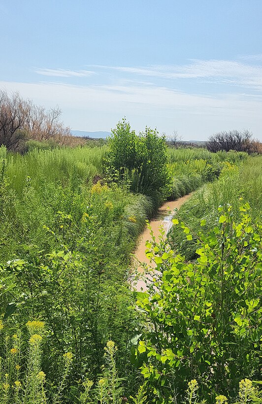 This photo is of a portion of the La Joya Acequia. It was taken in September 2024 before construction started.