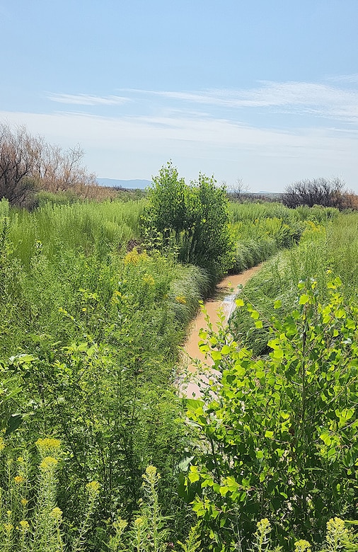 This photo is of a portion of the La Joya Acequia. It was taken in September 2024 before construction started.