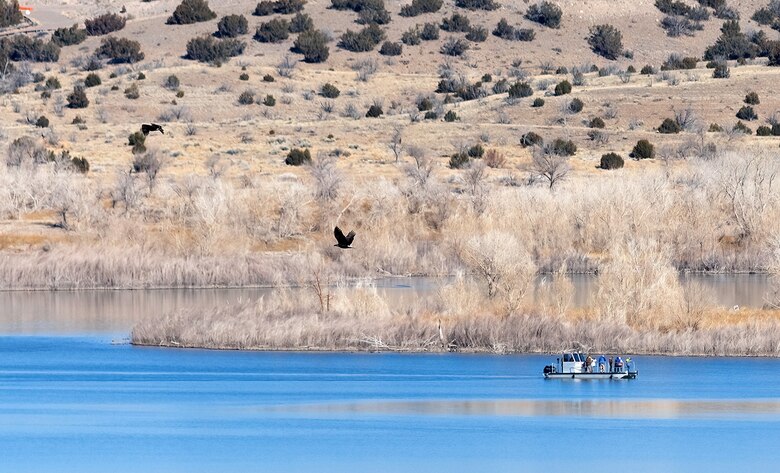 District staff and volunteers count eagles from a boat in Cochiti Lake, N.M., during the Cochiti Lake eagle watch, Jan. 11, 2025. In this photo two adult eagles are seen in flight above the lake.
