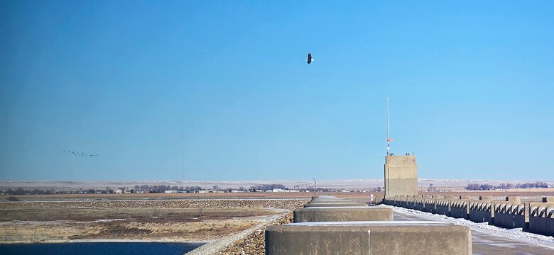 One of the eagles spotted during the John Martin eagle watch event on Jan. 10, 2025, flies above the dam. A total of 44 bald eagles were spotted this year.