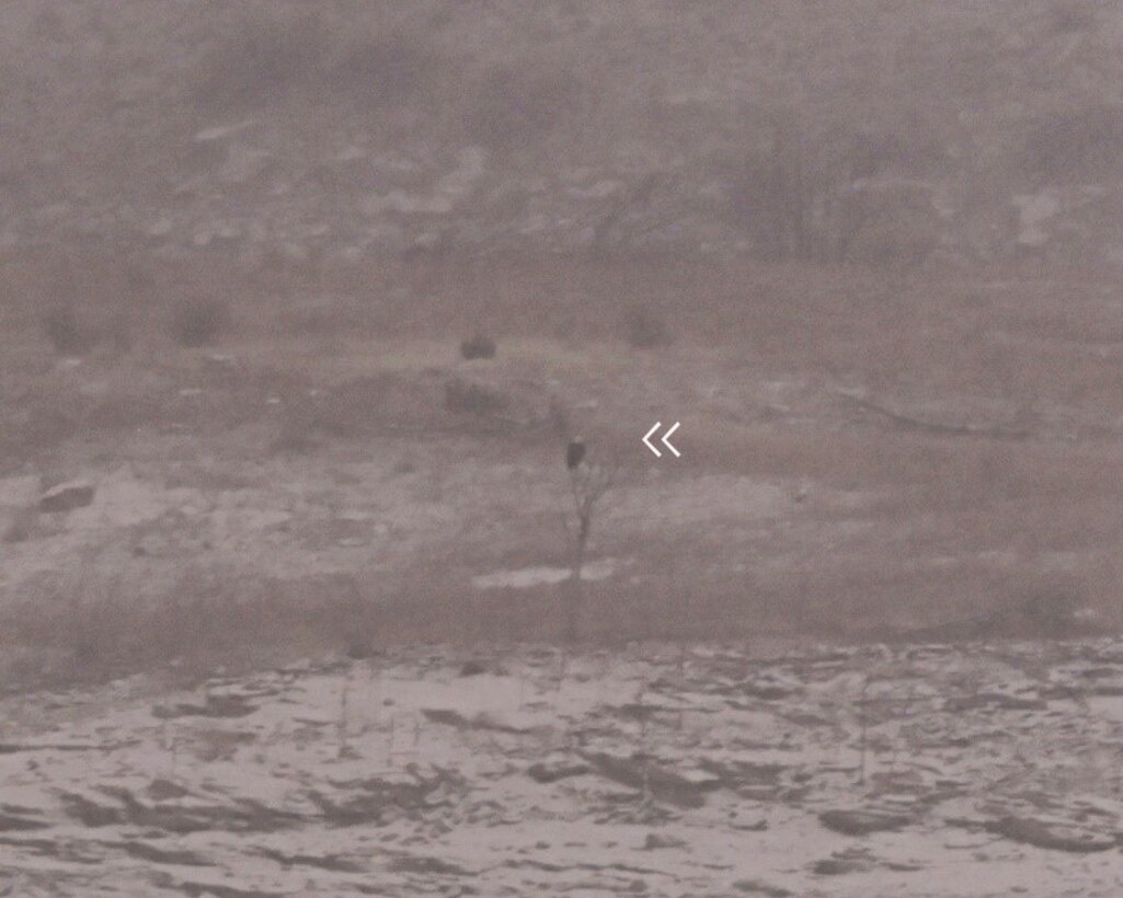 White arrows point to the only eagle spotted during the eagle watch event at Trinidad Lake, Colo. Jan. 7, 2025. Inclement weather made it difficult to spot any others.
