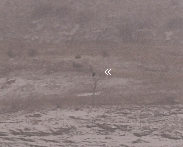 White arrows point to the only eagle spotted during the eagle watch event at Trinidad Lake, Colo. Jan. 7, 2025. Inclement weather made it difficult to spot any others.