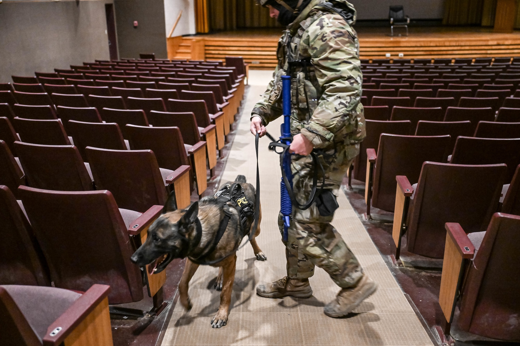 An Airman and a military working dog search a movie theater