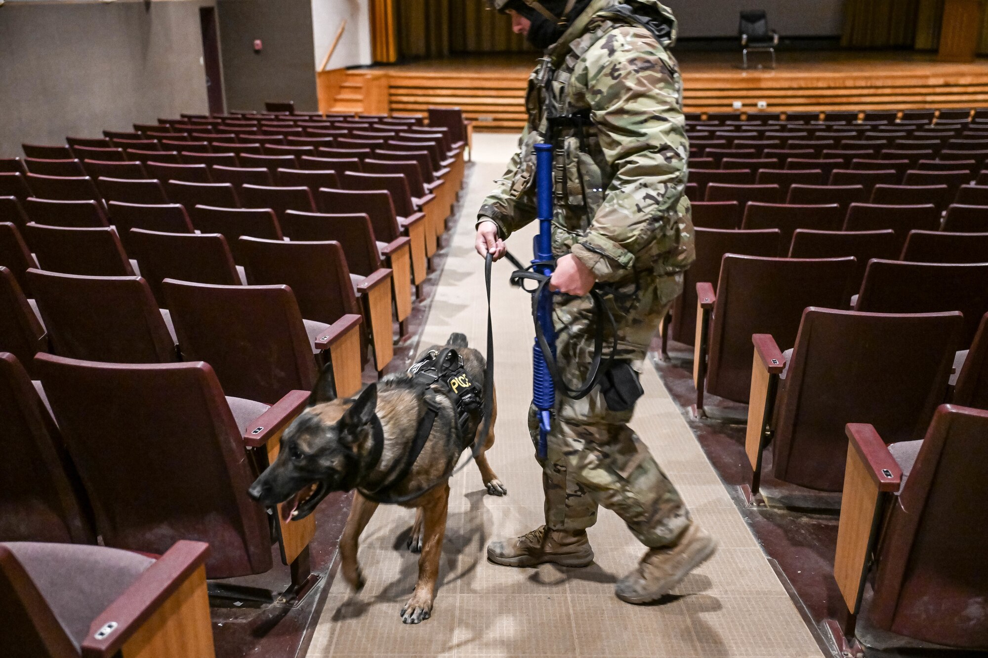 An Airman and a military working dog search a movie theater