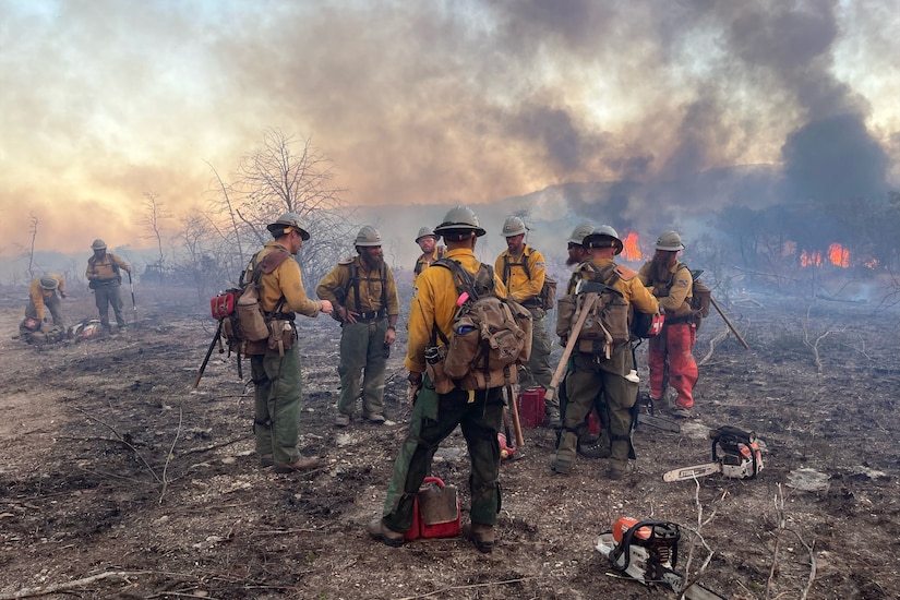Men in firefighting gear gather around burned forest floor surrounded by chainsaws. Fires and smoke are in the background.