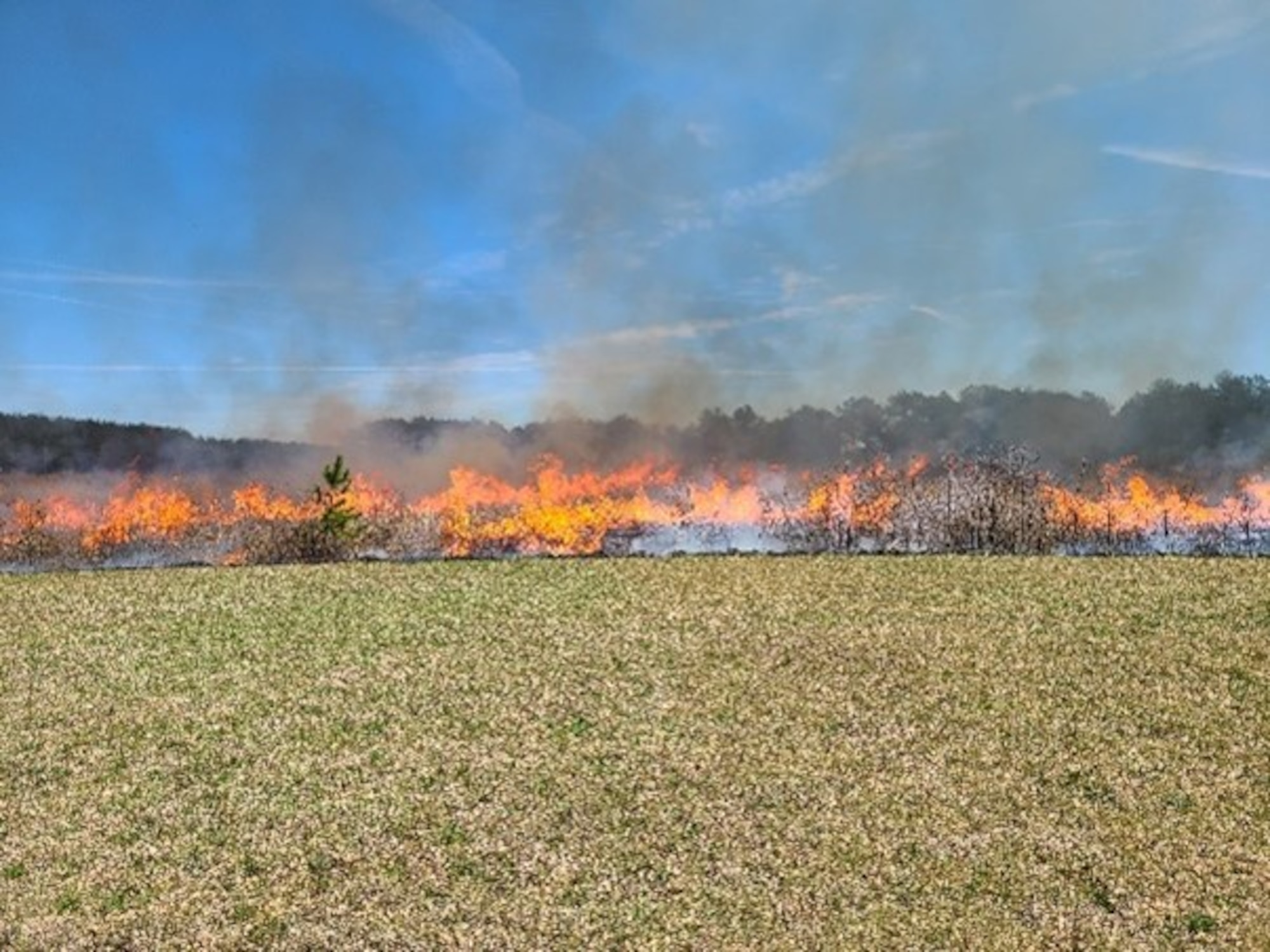 A prescribed fire burns at Arnold Air Force Base, Tenn., in 2023. The Natural Resources Management team at Arnold AFB will soon conduct prescribed fires, or controlled burns, across Arnold. Prescribed fire allows land managers to alter and improve the native ecosystems without utilizing more costly methods such as mulching, mowing and herbicide applications. (U.S. Air Force photo by Jeffrey Page)