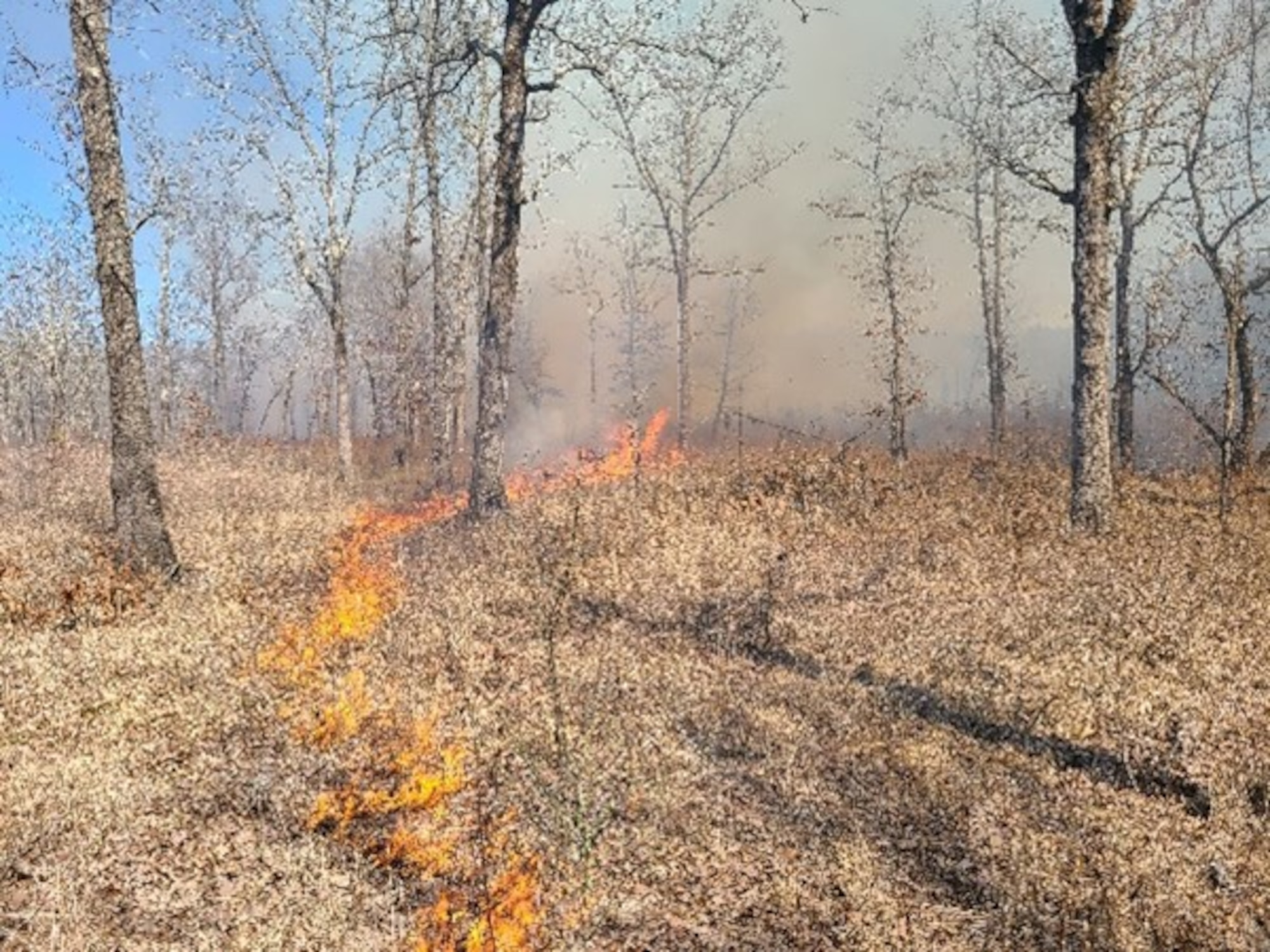 A prescribed fire burns at Arnold Air Force Base, Tenn., in 2023. The Natural Resources Management team at Arnold AFB will soon conduct prescribed fires, or controlled burns, across Arnold. Prescribed fire allows land managers to alter and improve the native ecosystems without utilizing more costly methods such as mulching, mowing and herbicide applications. (U.S. Air Force photo by Jeffrey Page)