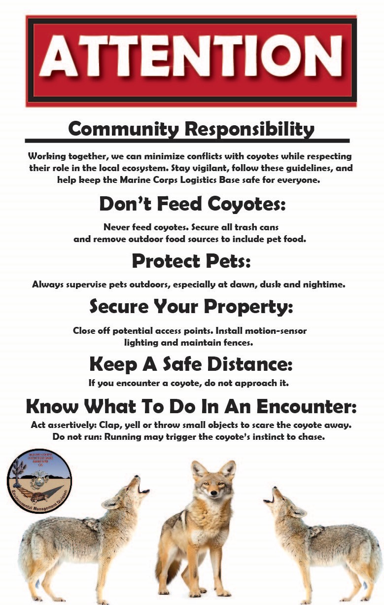 Coyote Safety Awareness