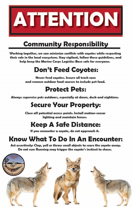 Coyote Safety Awareness