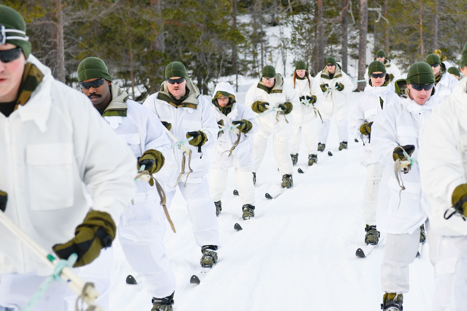 Skijoring is a transportation technique Minnesota National Guard members learned during a field training exercise Feb. 10, 2025, at Haltdalen, Norway. The practice is a way to move troops quickly while conserving energy.