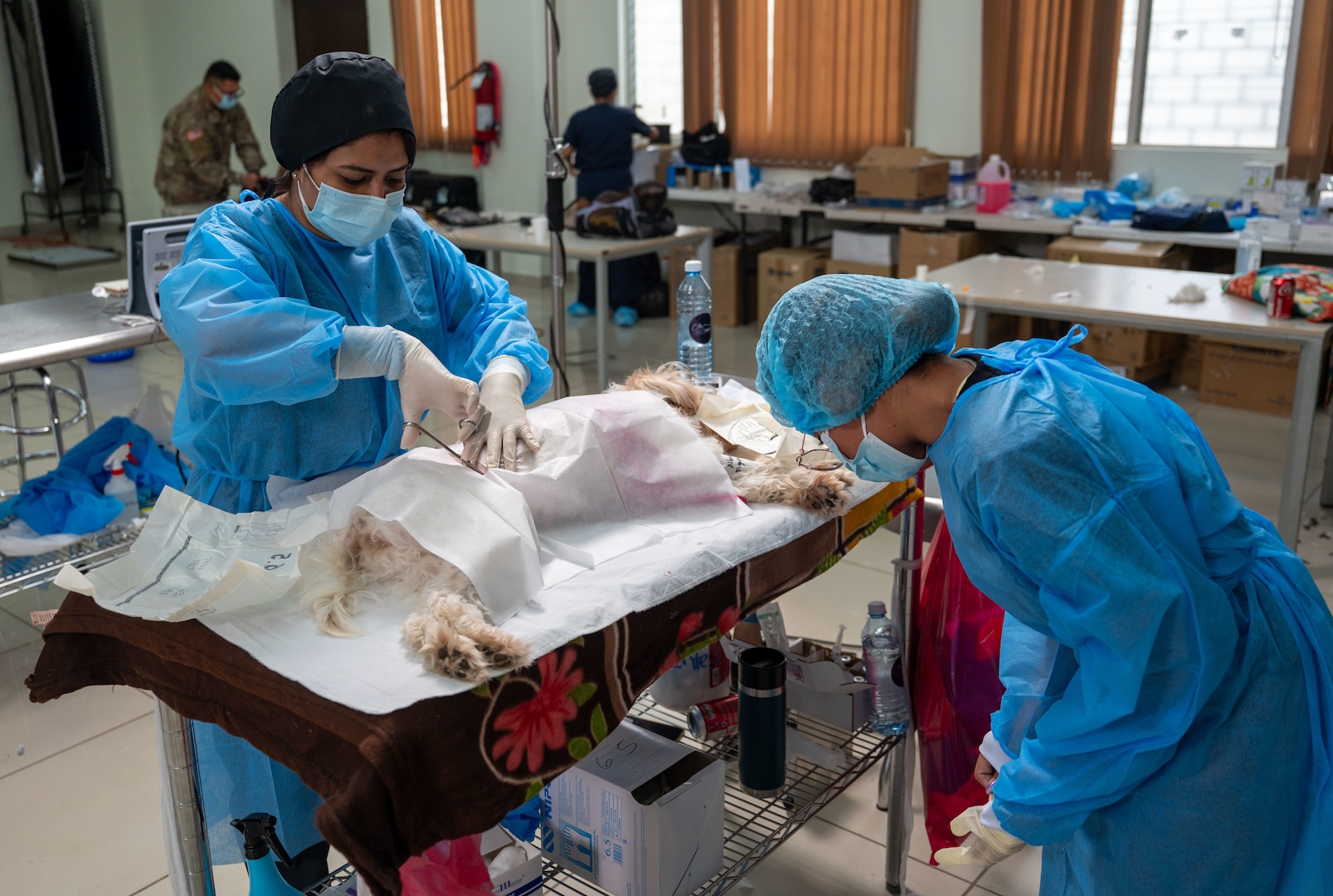 Two members of the Instituto de Bienestar Animal veterinarian team provides medical treatment to a patient during a JTF-Bravo led VETRETE in Ahuachapan, El Salvador, Feb. 19. The VETRETE provided U.S. military personnel with valuable experience in austere environments while simultaneously addressing the significant issue of animal overpopulation in El Salvador. (U.S. Air Force photo)