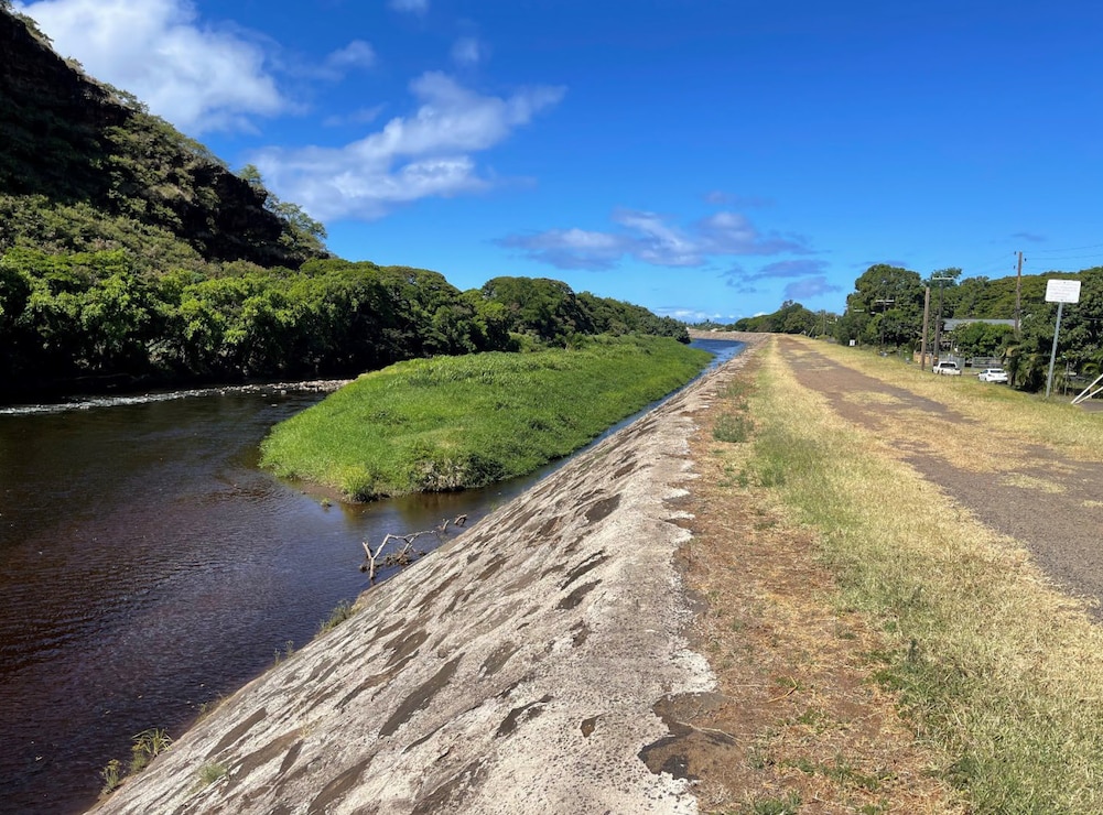 A "sediment island" formed in the Waimea River Flood Control Project channel of natural causes. Photo of downstream extent of sediment island taken from atop Waimea River Flood Control Project levee, right bank at Menehune Road and facing upstream. (USACE, 2024)