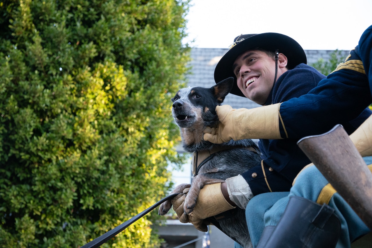 A soldier and a dog look out from a moving vehicle.