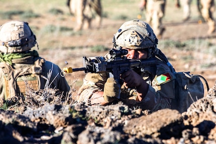 100th Battalion, 442nd Infantry Regiment