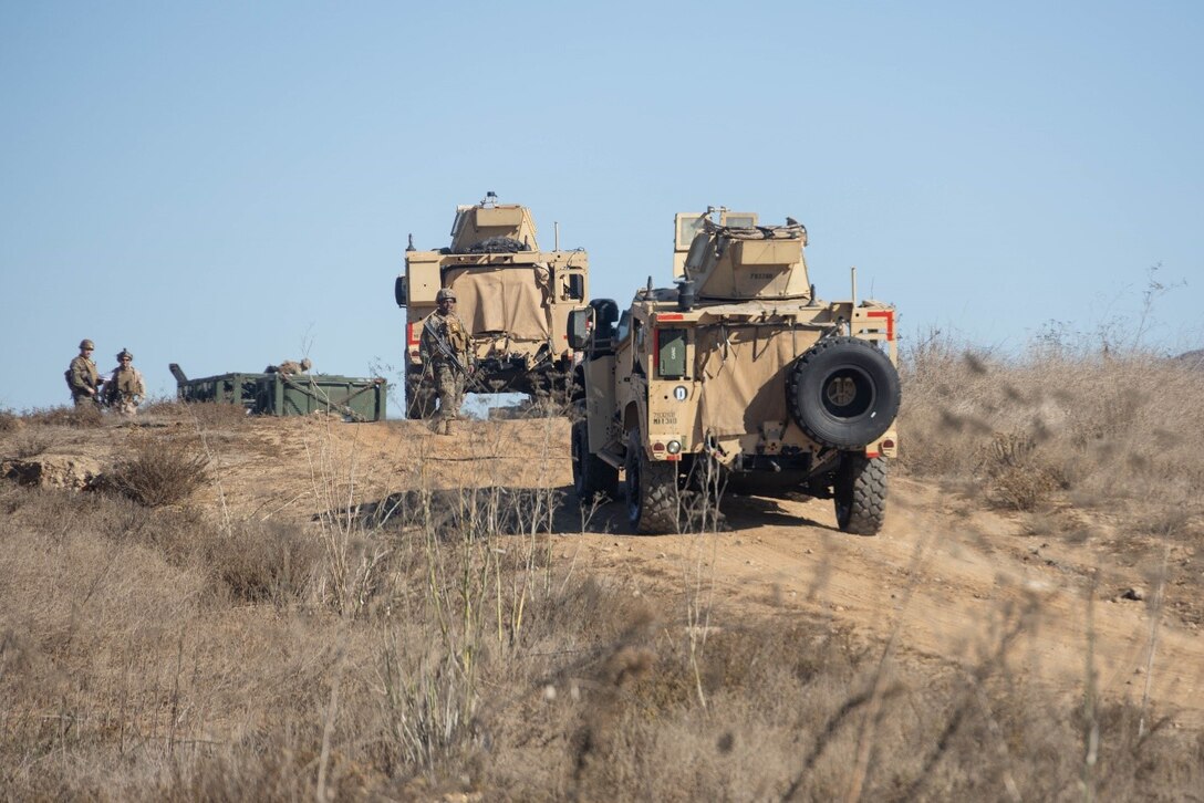 U.S. Marines with Combat Logistics Battalion 1, Combat Logistic Regiment 1, 1st Marine Logistics Group, ground guide Joint Light Tactical Vehicles up a hill on Red Beach as part of Steel Knight 24 at Marine Corps Base Camp Pendleton, California, Dec. 7, 2024. Steel Knight is an annual exercise that takes place in multiple locations across the Southwest that allows I Marine Expeditionary Force to train as a full Marine Air-Ground Task Force and better integrate with joint and naval forces. The exercise also certifies 1st Marine Regiment, 1st Marine Division, and CLB-1 to be forward-postured in Australia as part of Marine Rotational Force - Darwin, a six-month deployment during which Marines train with Australian allies and facilitate rapid response to crises and contingencies. (U.S. Marine Corps photo by Cpl. Keegan Jones)