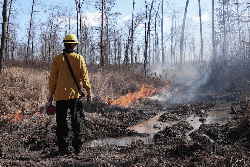 DOD Partners With Interagency on Helping Communities Recover From Wildfires