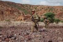 Soldiers from the 56th Stryker Brigade Combat Team, who were deployed to Africa in support of Combined Joint Task Force - Horn of Africa, along wit members of the Djibouti Coast Guard, U.S. Navy, Air Force, Army and Spanish Special Operations Maritime Team conduct Exercise Bull Shark, a two-day rescue operation exercise. (Photo by Capt. Owen Dietrich)